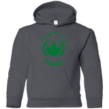 Sweatshirts Charcoal / YS Dragonzord Power Youth Hoodie
