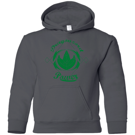 Sweatshirts Charcoal / YS Dragonzord Power Youth Hoodie