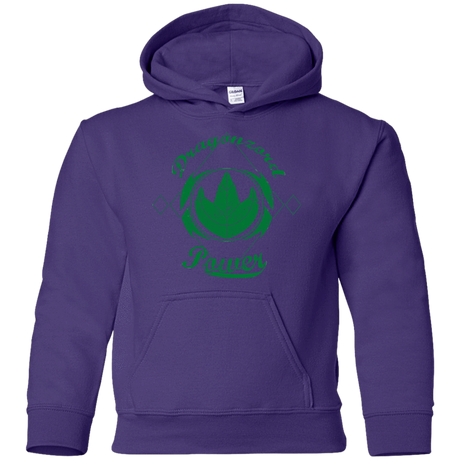 Sweatshirts Purple / YS Dragonzord Power Youth Hoodie