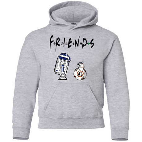 Sweatshirts Sport Grey / YS Droid Friends Youth Hoodie
