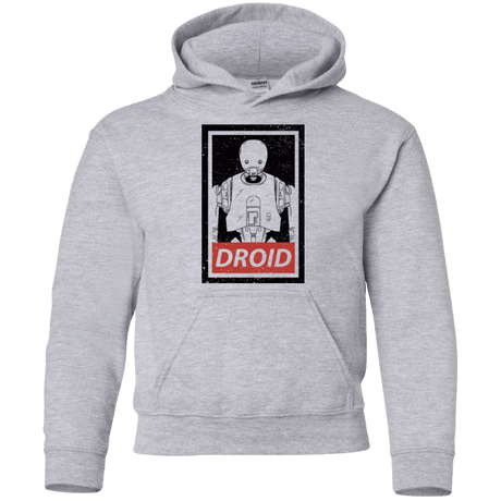 Sweatshirts Sport Grey / YS Droid Youth Hoodie
