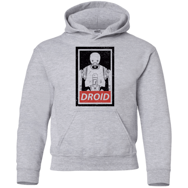 Sweatshirts Sport Grey / YS Droid Youth Hoodie