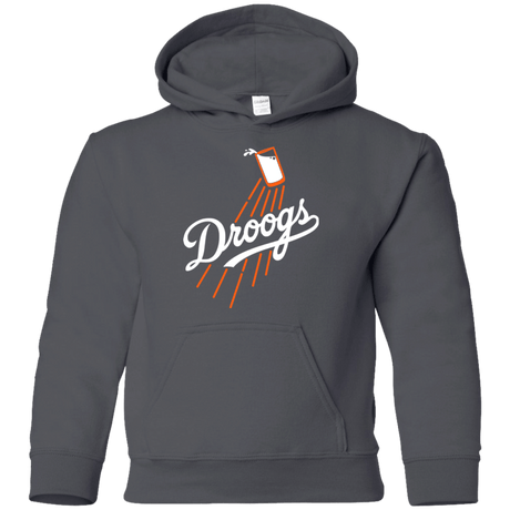 Sweatshirts Charcoal / YS Droogs Youth Hoodie