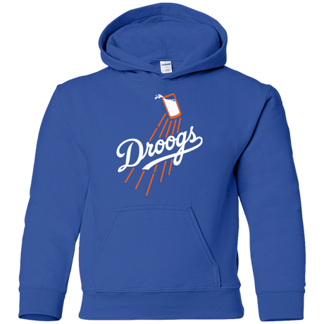 Sweatshirts Royal / YS Droogs Youth Hoodie