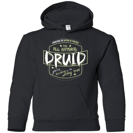 Sweatshirts Black / YS Druid Youth Hoodie