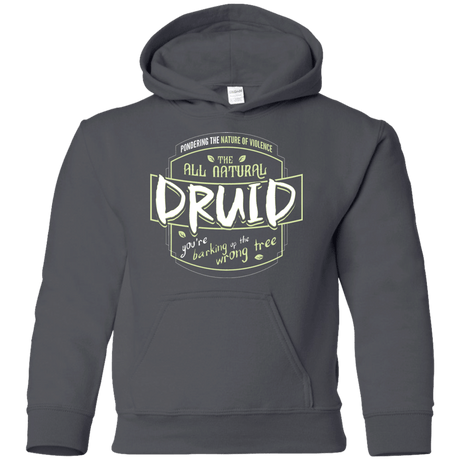 Sweatshirts Charcoal / YS Druid Youth Hoodie