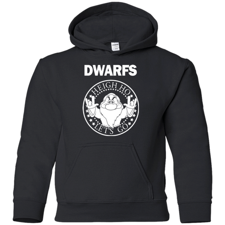Sweatshirts Black / YS Dwarfs Youth Hoodie