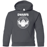 Sweatshirts Charcoal / YS Dwarfs Youth Hoodie