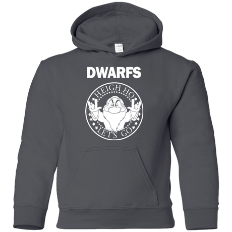 Sweatshirts Charcoal / YS Dwarfs Youth Hoodie