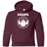 Sweatshirts Maroon / YS Dwarfs Youth Hoodie