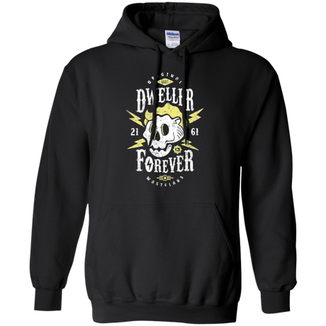 Sweatshirts Black / Small Dweller Forever Pullover Hoodie