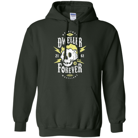 Sweatshirts Forest Green / Small Dweller Forever Pullover Hoodie