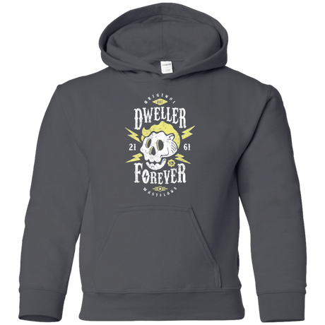 Sweatshirts Charcoal / YS Dweller Forever Youth Hoodie
