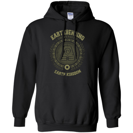 Sweatshirts Black / Small Earthbending university Pullover Hoodie