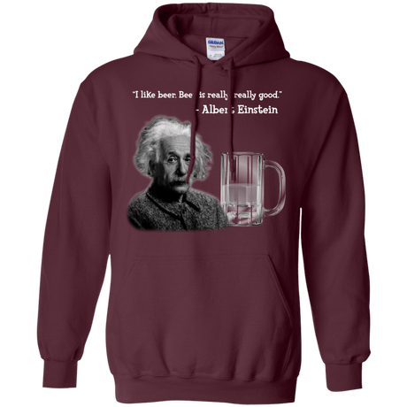 Sweatshirts Maroon / Small Einstein Pullover Hoodie