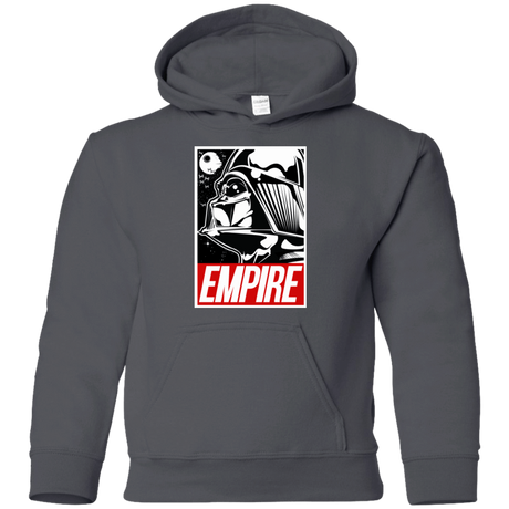 Sweatshirts Charcoal / YS EMPIRE Youth Hoodie