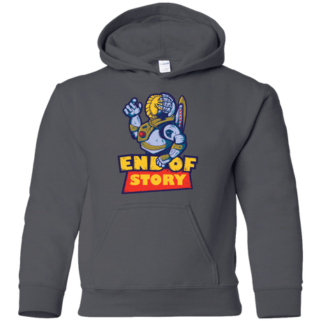 Sweatshirts Charcoal / YS END OF STORY Youth Hoodie