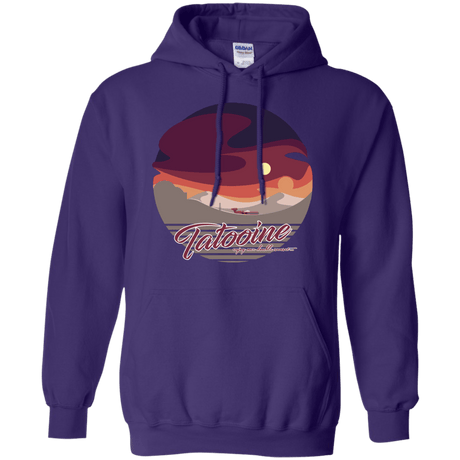 Sweatshirts Purple / S Enjoy Our Double Sunset Pullover Hoodie