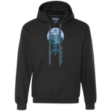 Sweatshirts Black / Small Enterprise Crew Premium Fleece Hoodie