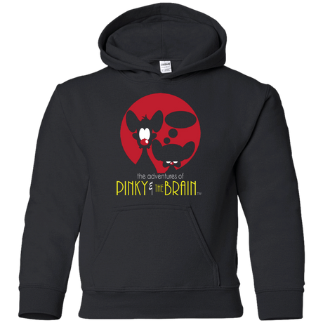 Sweatshirts Black / YS Evil Masterminds Youth Hoodie