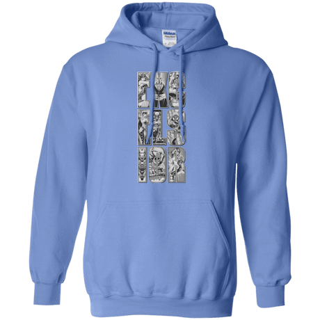 Sweatshirts Carolina Blue / Small Excelsior Pullover Hoodie