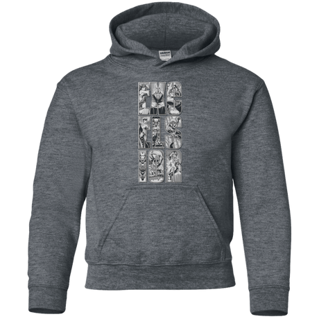 Sweatshirts Dark Heather / YS Excelsior Youth Hoodie