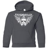 Sweatshirts Charcoal / YS Expendable Troopers Youth Hoodie