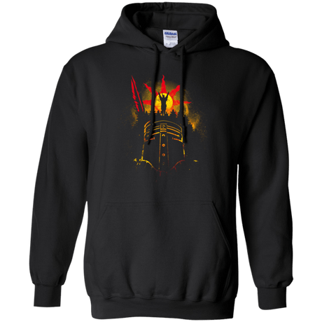 Sweatshirts Black / Small Face of The Sun Pullover Hoodie
