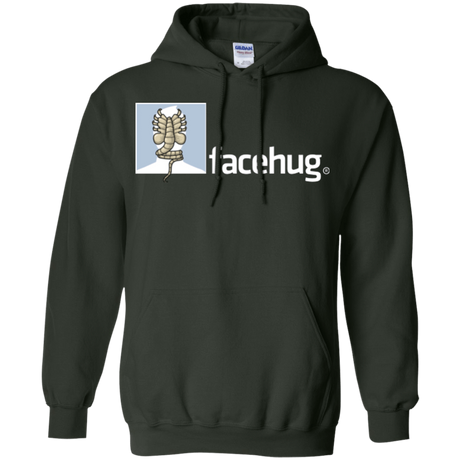 Sweatshirts Forest Green / Small FACEHUG Pullover Hoodie