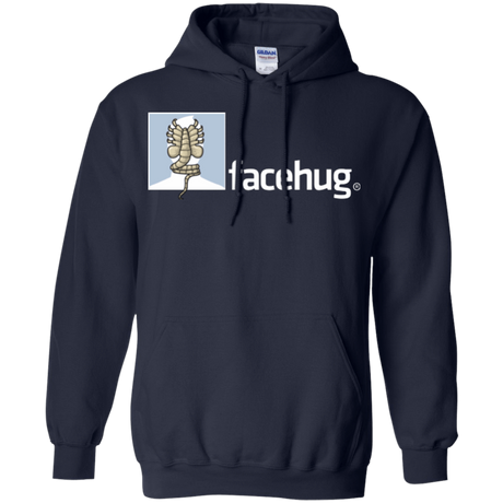 Sweatshirts Navy / Small FACEHUG Pullover Hoodie