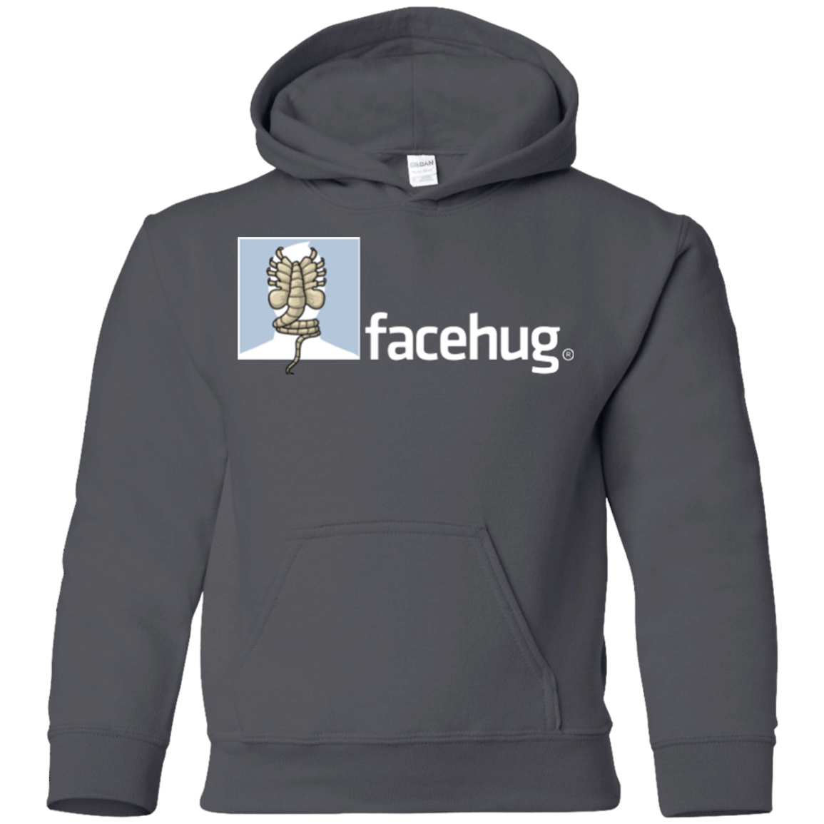 Sweatshirts Charcoal / YS FACEHUG Youth Hoodie