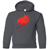 Sweatshirts Charcoal / YS Fairy Tale Youth Hoodie