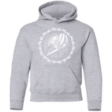 Sweatshirts Sport Grey / YS Fairytail Youth Hoodie