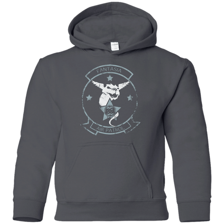 Sweatshirts Charcoal / YS Fantasia Air Patrol Youth Hoodie