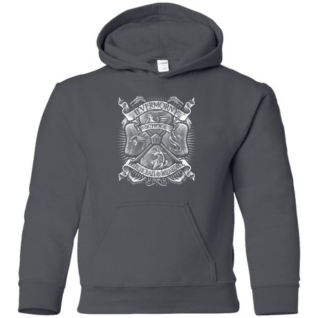 Sweatshirts Charcoal / YS Fantastic Crest Youth Hoodie
