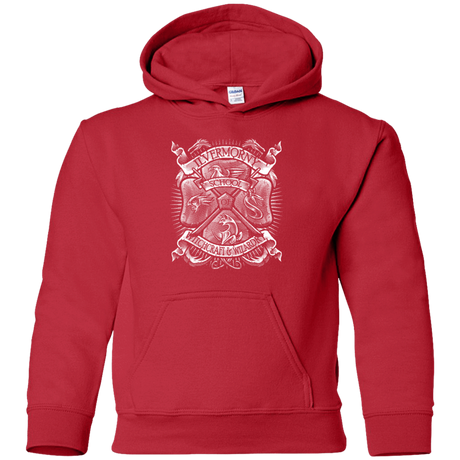 Sweatshirts Red / YS Fantastic Crest Youth Hoodie