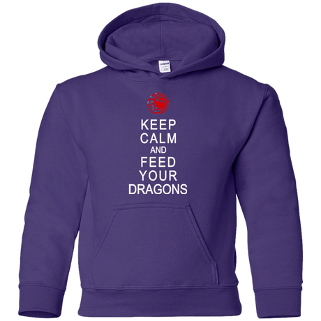 Sweatshirts Purple / YS Feed dragons Youth Hoodie