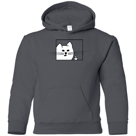 Sweatshirts Charcoal / YS Feline Flip Youth Hoodie
