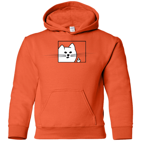 Sweatshirts Orange / YS Feline Flip Youth Hoodie