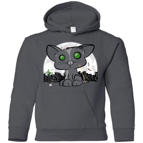 Sweatshirts Charcoal / YS Felinity War Youth Hoodie
