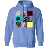 Sweatshirts Carolina Blue / S Ferns n Chicks Pullover Hoodie