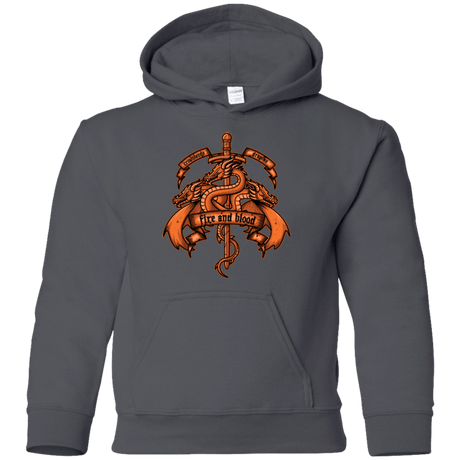 Sweatshirts Charcoal / YS FIRE AND BLOOD Youth Hoodie