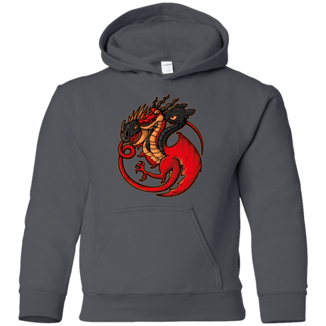 Sweatshirts Charcoal / YS FIRE BLOOD AND TRAINING Youth Hoodie