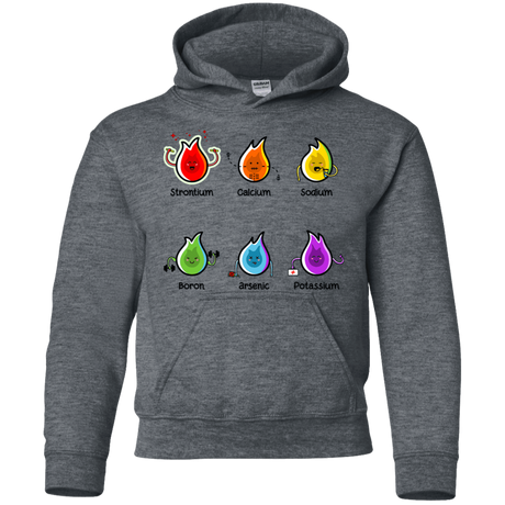 Sweatshirts Dark Heather / YS Flaming Elements Science Youth Hoodie