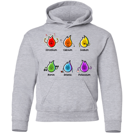 Sweatshirts Sport Grey / YS Flaming Elements Science Youth Hoodie