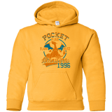 Sweatshirts Gold / YS FLARE BLITZ Youth Hoodie