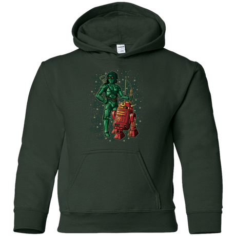 Sweatshirts Forest Green / YS Flash and Arrow Youth Hoodie