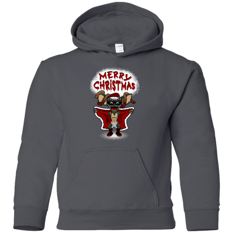 Sweatshirts Charcoal / YS Flashing Through The Snow Youth Hoodie