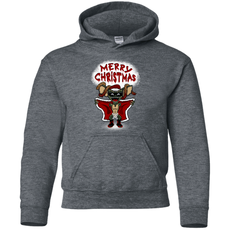 Sweatshirts Dark Heather / YS Flashing Through The Snow Youth Hoodie