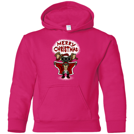 Sweatshirts Heliconia / YS Flashing Through The Snow Youth Hoodie